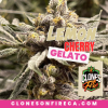 Lemon Cherry Gelato Clones