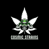 Cosmic Strains - Drive-By Fruiting (Tropical Smoothie x Zuchi x Pineapple Passion Zmoothie)