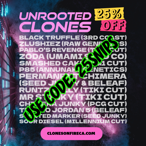 3 Unrooted Clones - Image 2