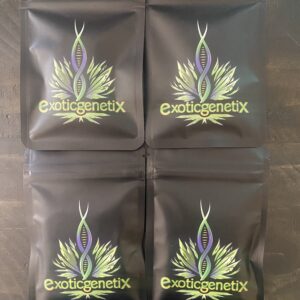 Exotic Genetix - 4 Pack Exclusive Auction (30 Fems Total)