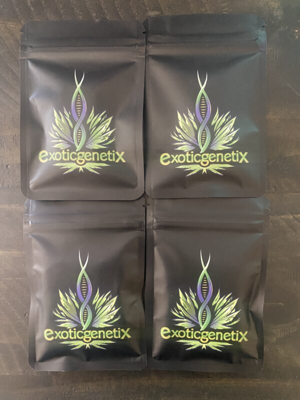 Exotic Genetix - 4 Pack Exclusive Auction (30 Fems Total)