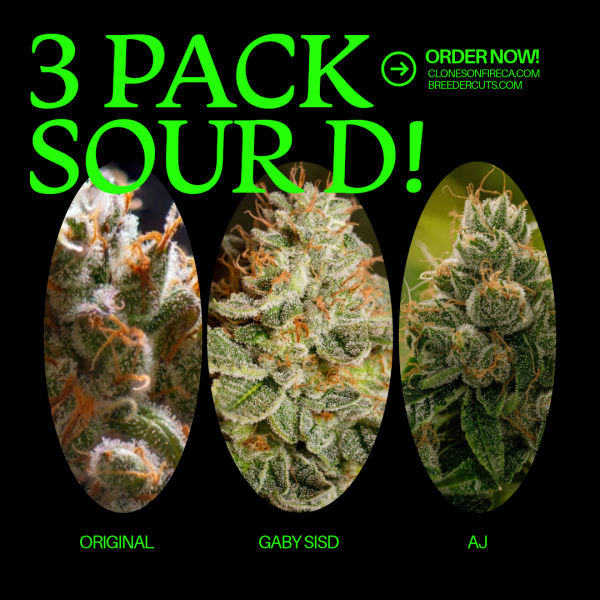 3 Clones Of Sour (Original, Gaby SISD, AJ)
