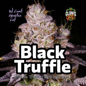 Black Truffle Clones (3rd Coast Breeder Cut)