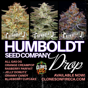 Humboldt Seed Co Auction - 6 Packs Total