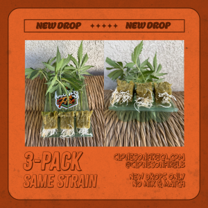 3-Pack New Drops