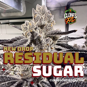 Residual Sugar Clones (Good Greens & CLTVTD)