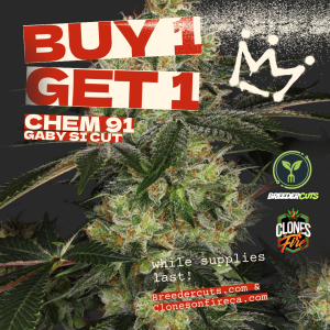 Chem 91 (Buy One Get One FREE)(Gaby's Cut)