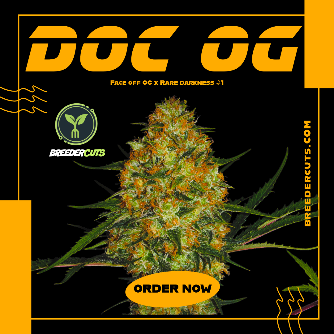 Doc OG