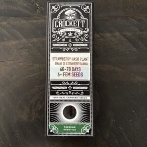 Crockett Family Farms - Strawberry Hash Plant (6 pk)(Fem)