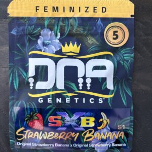 DNA Genetics - Straberry Banana (5 pk) (Fems)
