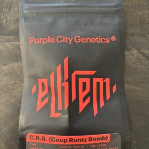 Purple City Genetics - C.R.B. (Coup Runtz Bomb) (El Krem)(Fems)(6 pk)