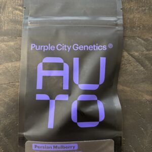 Purple City Genetics - Persian Mulberry (Auto)(3 pk)