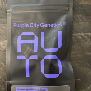 Purple City Genetics - Pomegranate Lime (Auto)(3 pk)