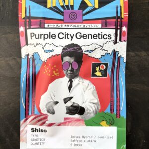 Purple City Genetics - Shiso (Akira Collection)(Fems)(6 pk)