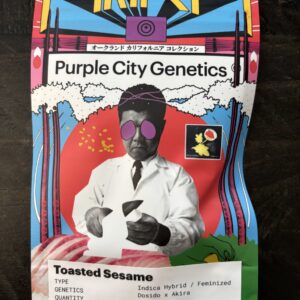 Purple City Genetics - Toasted Sesame (Akira Collection)(Fems)(6 pk)